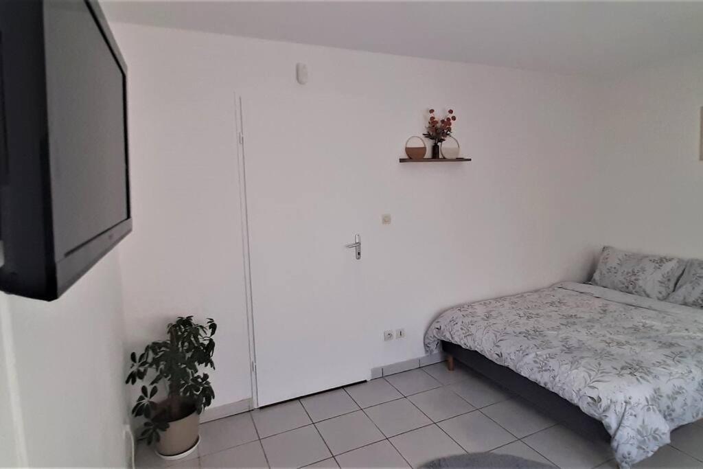 Studio Charmant Et Moderne Grand Confort Toulouse Eksteriør bilde