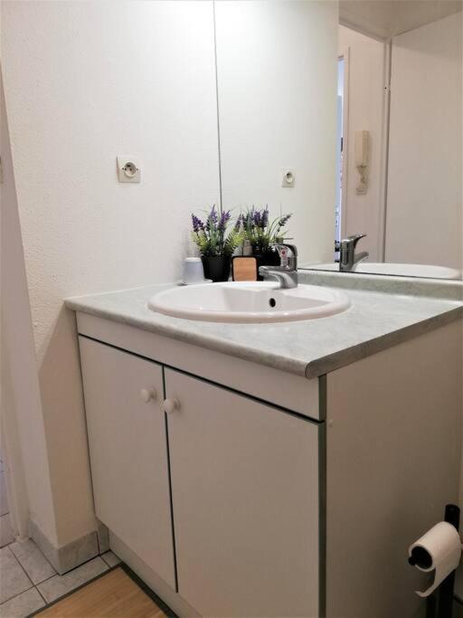 Studio Charmant Et Moderne Grand Confort Toulouse Eksteriør bilde
